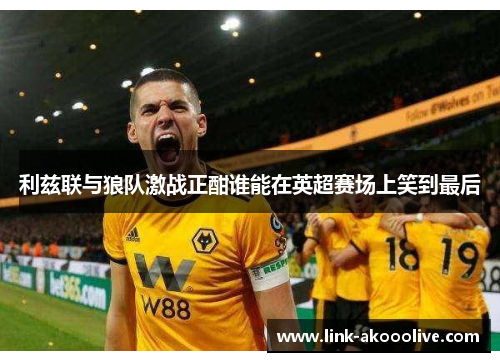 利兹联与狼队激战正酣谁能在英超赛场上笑到最后